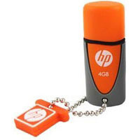 Pny HP v245o 4GB (FDU4GBHPV245O-EF)